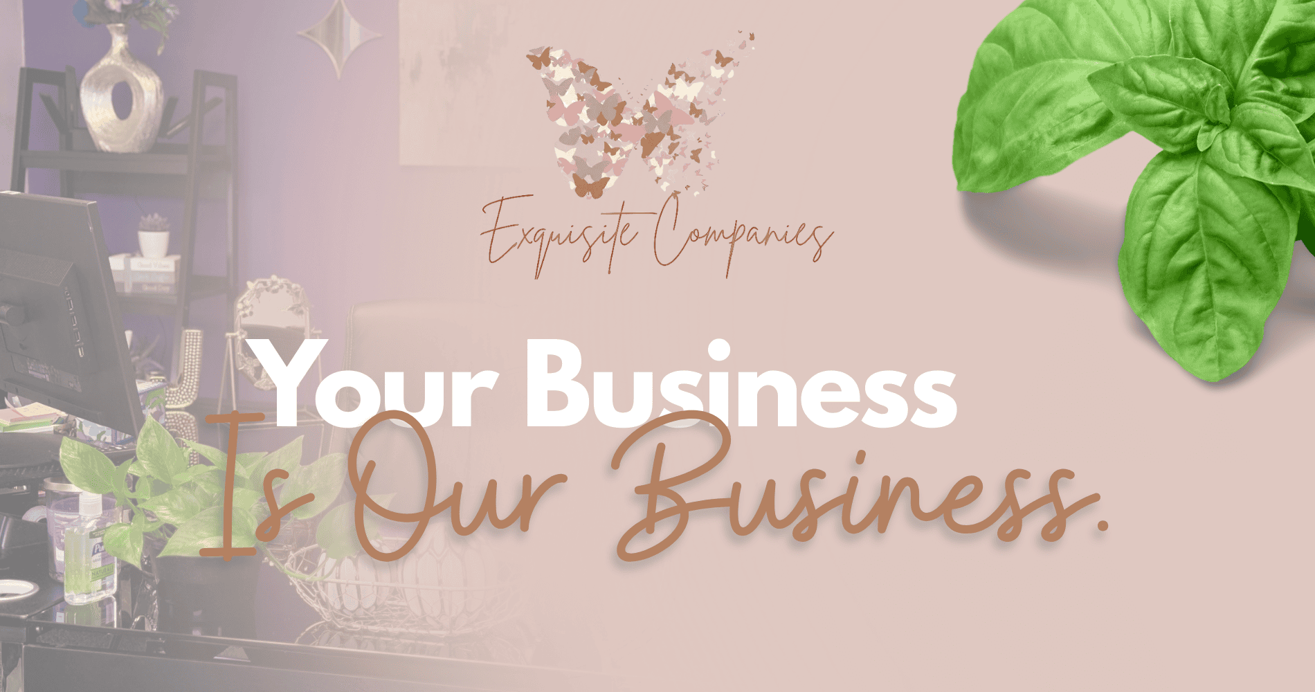 Exquisite Care Companies|Business Consulting