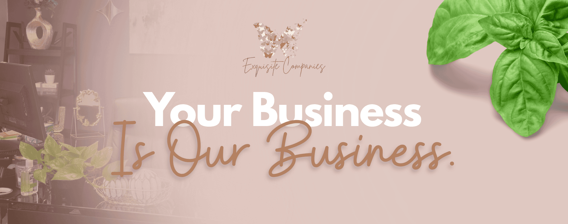 Exquisite Care Companies|Business Consulting